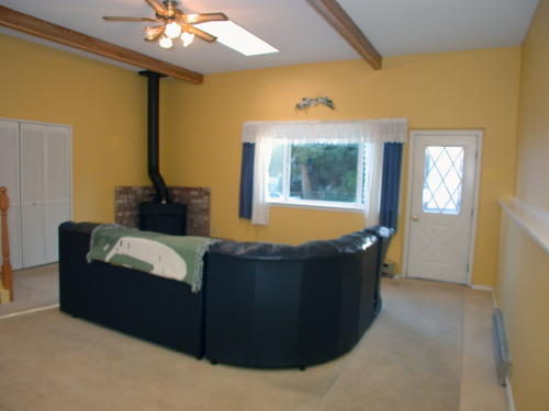 Lower level fireplace